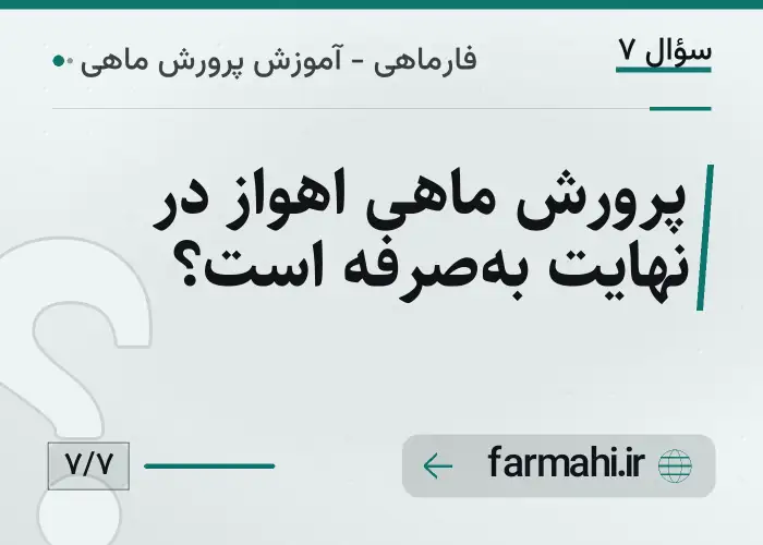 پرورش ماهی اهواز در نهایت به‌صرفه است؟
