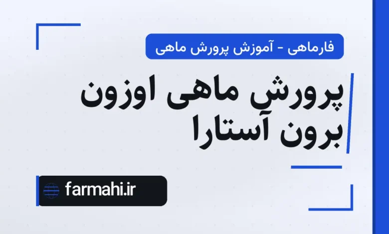 پرورش ماهی اوزون برون آستارا