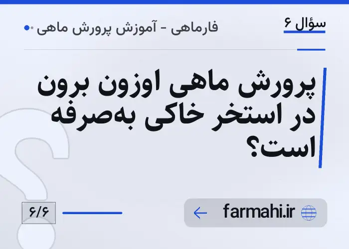 پرورش ماهی اوزون برون در استخر خاکی به‌صرفه است؟