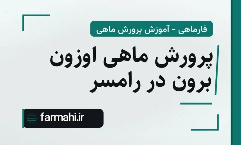 پرورش ماهی اوزون برون در رامسر