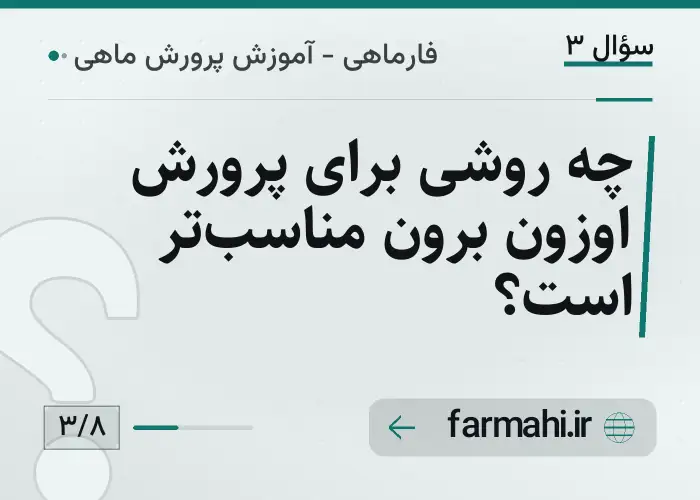 چه روشی برای پرورش اوزون برون مناسب‌تر است؟