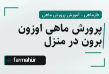 پرورش ماهی اوزون برون در منزل