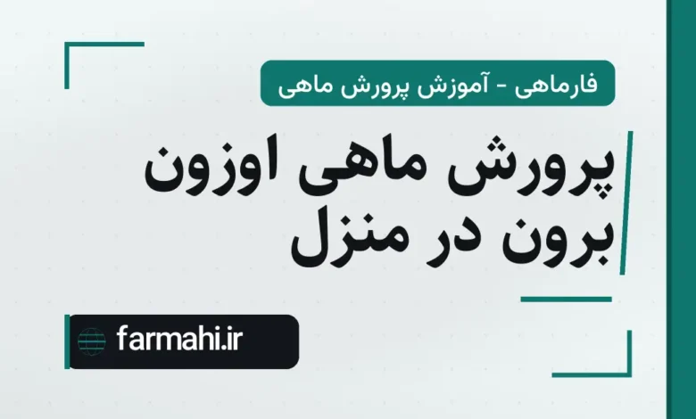 پرورش ماهی اوزون برون در منزل