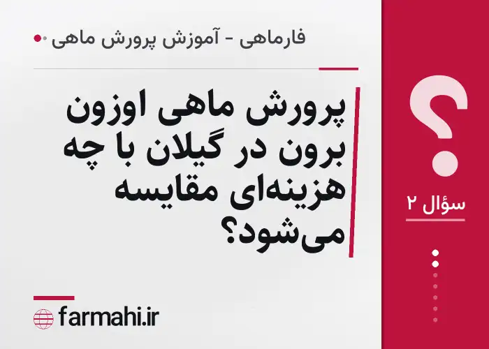 پرورش ماهی اوزون برون در گیلان با چه هزینه‌ای مقایسه می‌شود؟