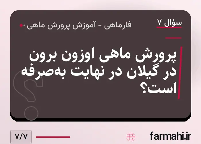 پرورش ماهی اوزون برون در گیلان در نهایت به‌صرفه است؟