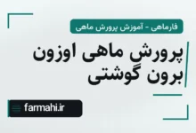 پرورش ماهی اوزون برون گوشتی