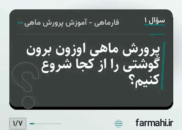 پرورش ماهی اوزون برون گوشتی را از کجا شروع کنیم؟