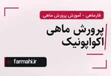 پرورش ماهی اکواپونیک