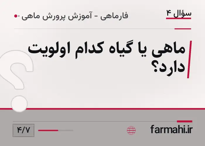 ماهی یا گیاه کدام اولویت دارد؟