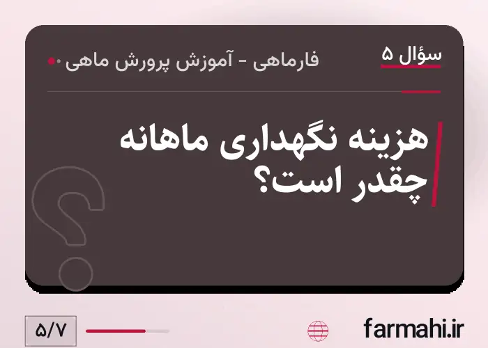 هزینه نگهداری ماهانه چقدر است؟