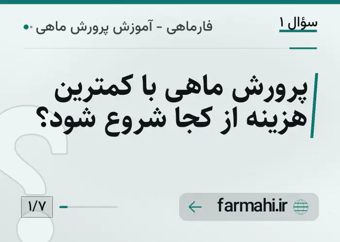 پرورش ماهی با کمترین هزینه از کجا شروع شود؟