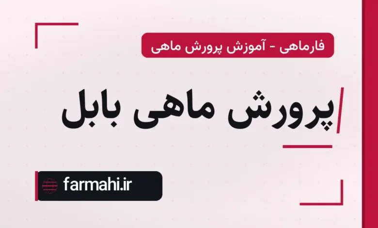 پرورش ماهی بابل