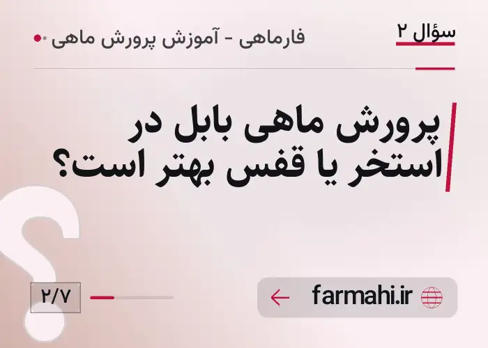 پرورش ماهی بابل در استخر یا قفس بهتر است؟