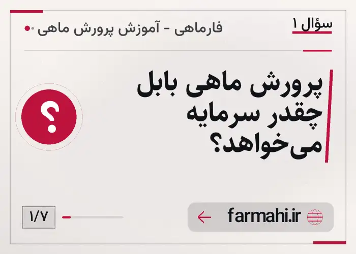 پرورش ماهی بابل چقدر سرمایه می‌خواهد؟