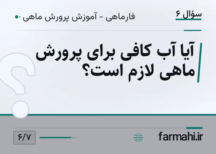 آیا آب کافی برای پرورش ماهی لازم است؟