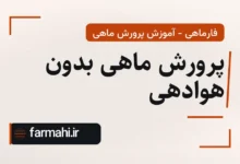 پرورش ماهی بدون هوادهی