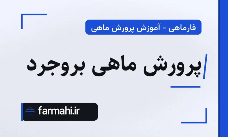 پرورش ماهی بروجرد