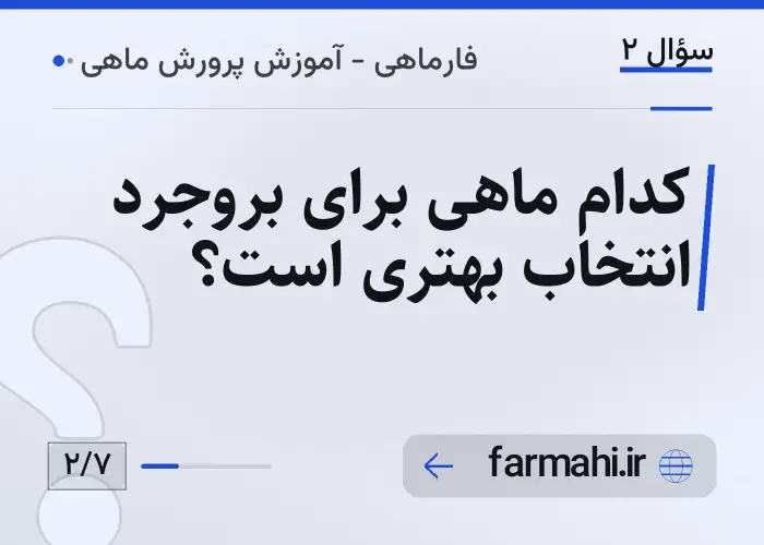 کدام ماهی برای بروجرد انتخاب بهتری است؟