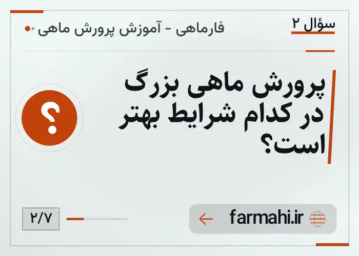 پرورش ماهی بزرگ در کدام شرایط بهتر است؟