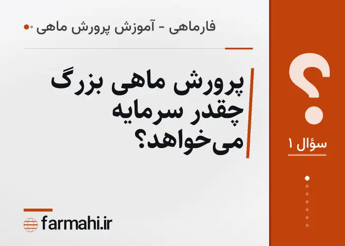 پرورش ماهی بزرگ چقدر سرمایه می‌خواهد؟