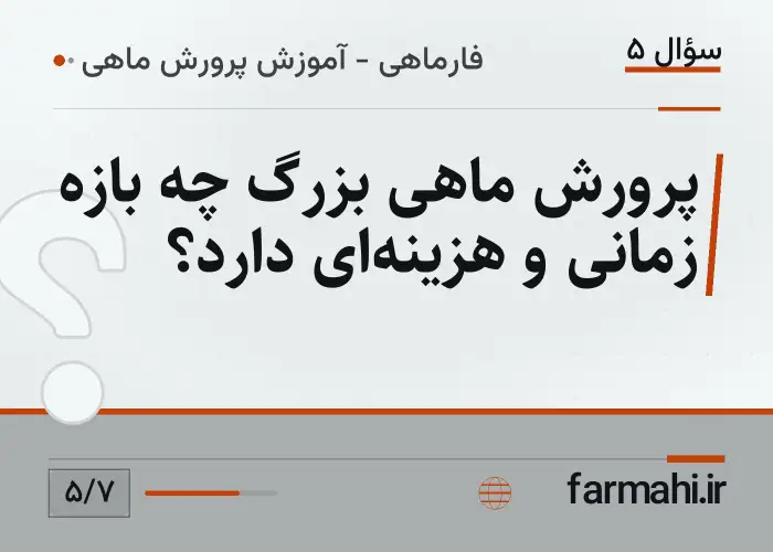 پرورش ماهی بزرگ چه بازه زمانی و هزینه‌ای دارد؟