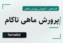 پرورش ماهی تاکام