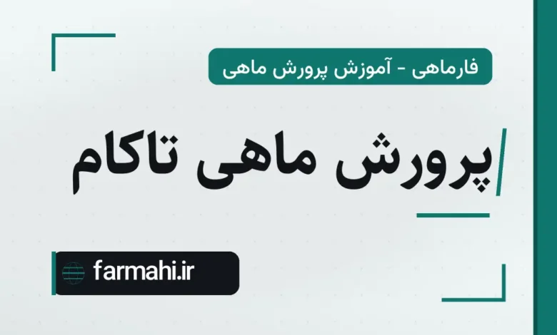 پرورش ماهی تاکام
