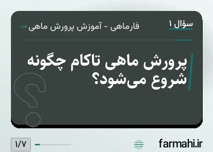 پرورش ماهی تاکام چگونه شروع می‌شود؟