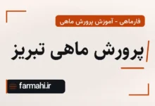 پرورش ماهی تبریز