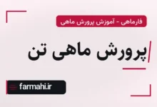 پرورش ماهی تن