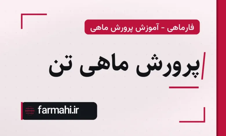 پرورش ماهی تن