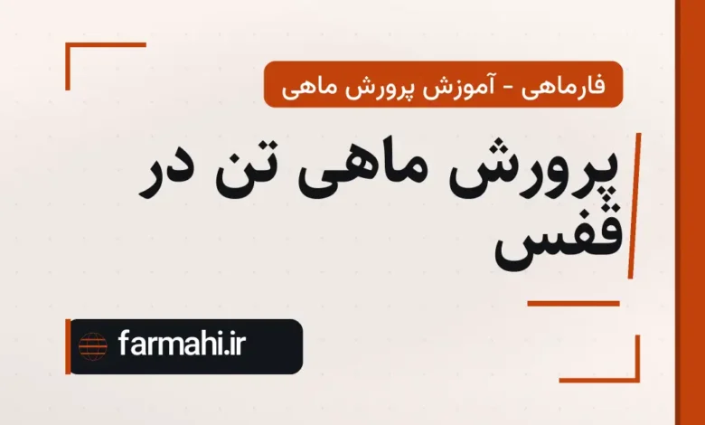 پرورش ماهی تن در قفس