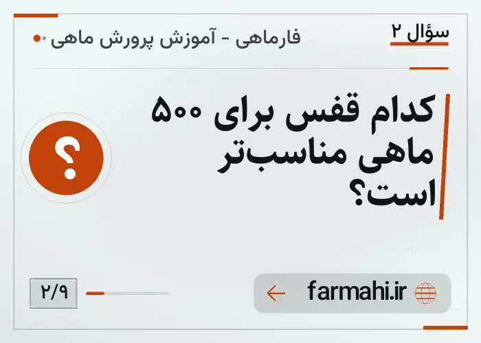 کدام قفس برای ۵۰۰ ماهی مناسب‌تر است؟