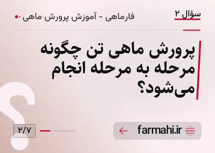 پرورش ماهی تن چگونه مرحله به مرحله انجام می‌شود؟