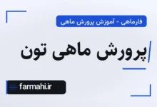 پرورش ماهی تون