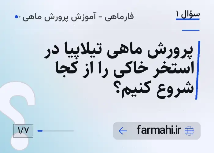 پرورش ماهی تیلاپیا در استخر خاکی را از کجا شروع کنیم؟