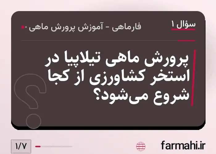 پرورش ماهی تیلاپیا در استخر کشاورزی از کجا شروع می‌شود؟