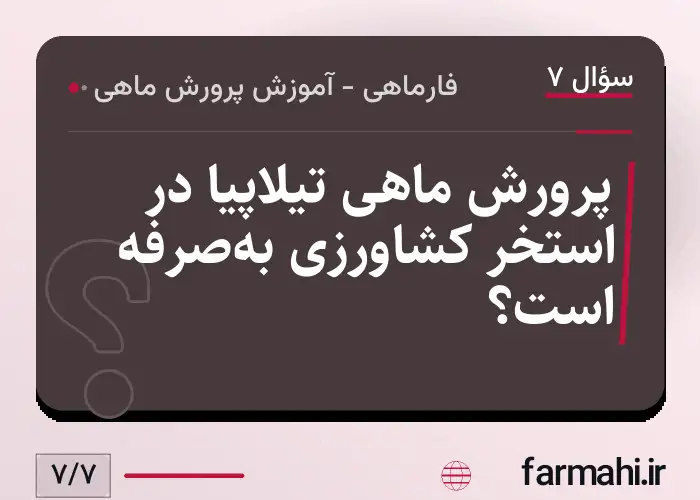 پرورش ماهی تیلاپیا در استخر کشاورزی به‌صرفه است؟