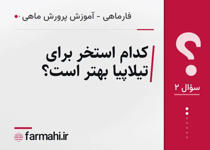 کدام استخر برای تیلاپیا بهتر است؟