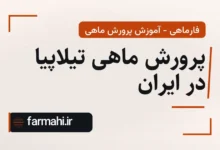 پرورش ماهی تیلاپیا در ایران