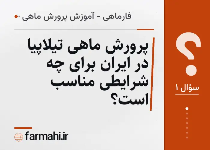 پرورش ماهی تیلاپیا در ایران برای چه شرایطی مناسب است؟