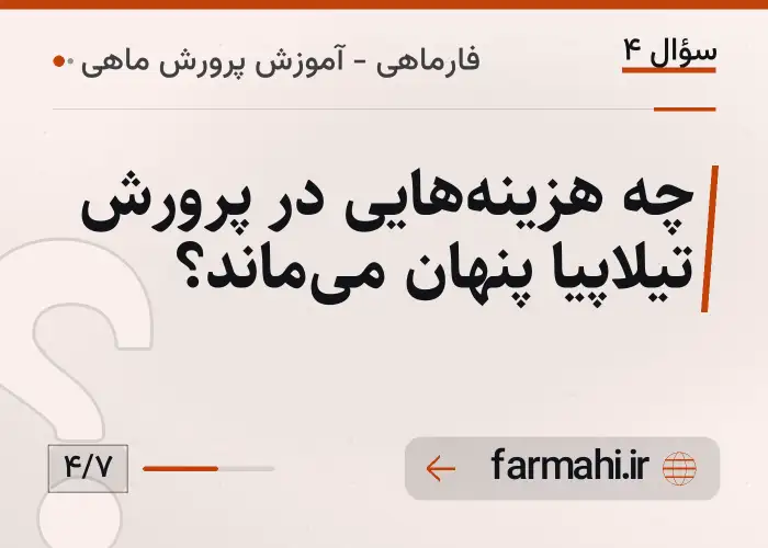 چه هزینه‌هایی در پرورش تیلاپیا پنهان می‌ماند؟