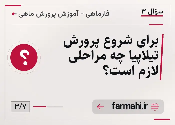 برای شروع پرورش تیلاپیا چه مراحلی لازم است؟