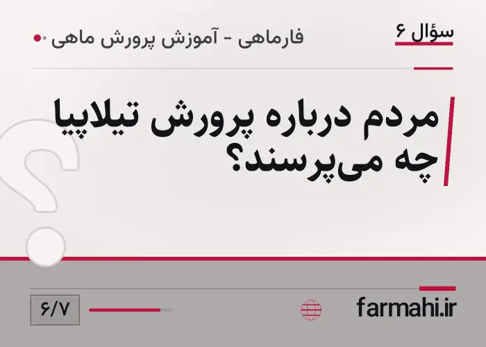 مردم درباره پرورش تیلاپیا چه می‌پرسند؟