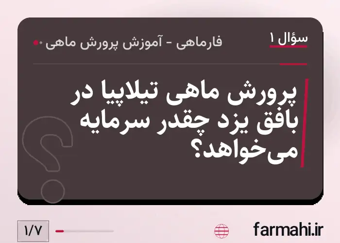 پرورش ماهی تیلاپیا در بافق یزد چقدر سرمایه می‌خواهد؟
