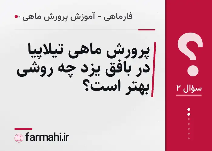 پرورش ماهی تیلاپیا در بافق یزد چه روشی بهتر است؟