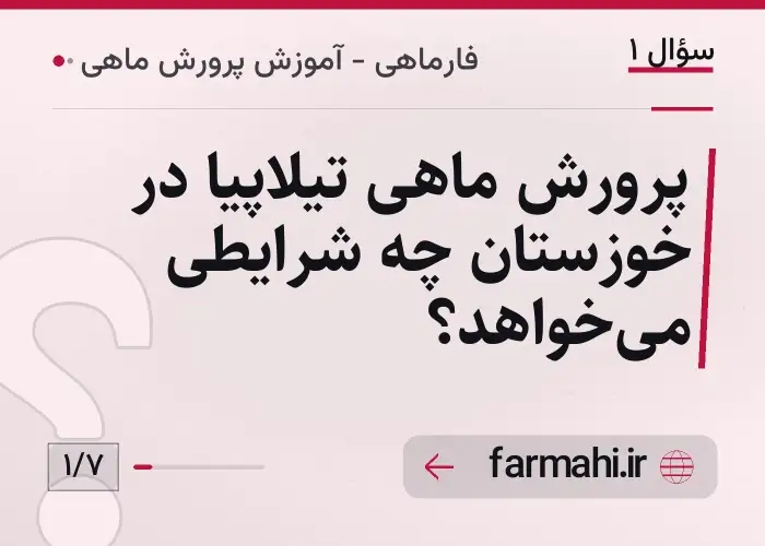 پرورش ماهی تیلاپیا در خوزستان چه شرایطی می‌خواهد؟