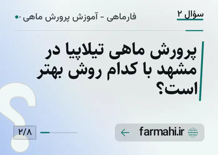 پرورش ماهی تیلاپیا در مشهد با کدام روش بهتر است؟