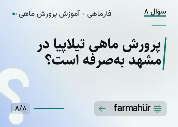 پرورش ماهی تیلاپیا در مشهد به‌صرفه است؟