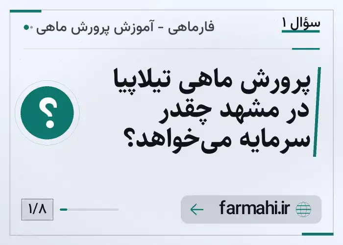 پرورش ماهی تیلاپیا در مشهد چقدر سرمایه می‌خواهد؟